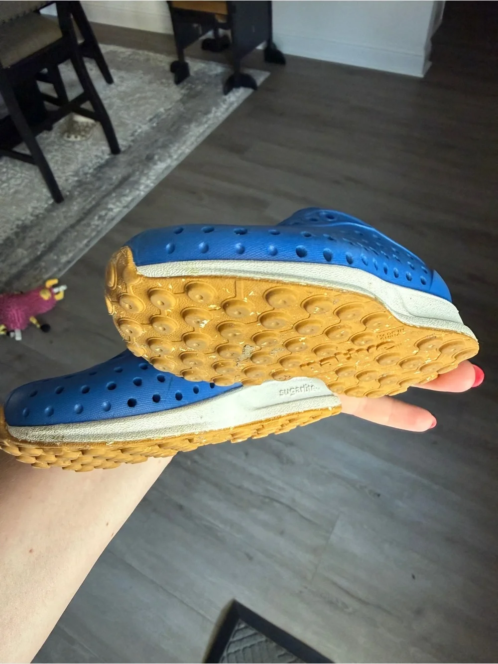 Native Blue Slip-On Water Shoes